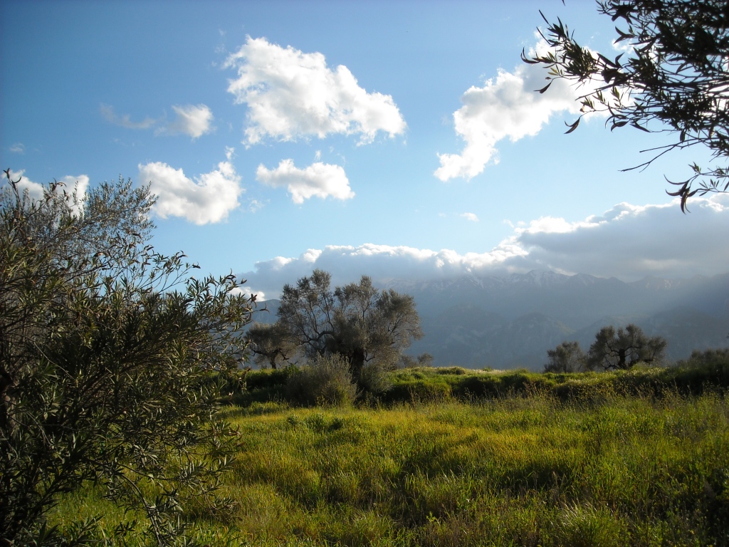 gorgeous hills of Sparta Greece