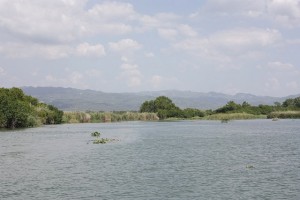 "jamaica-black-river"