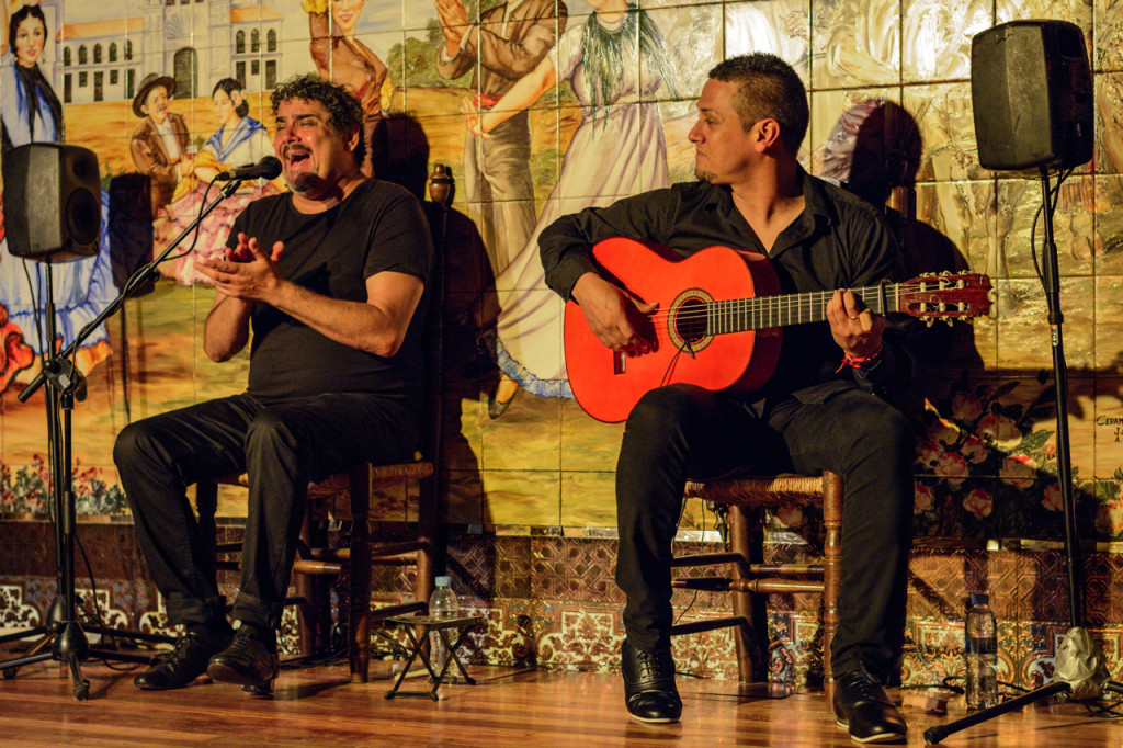 flamenco guitarist and singer 